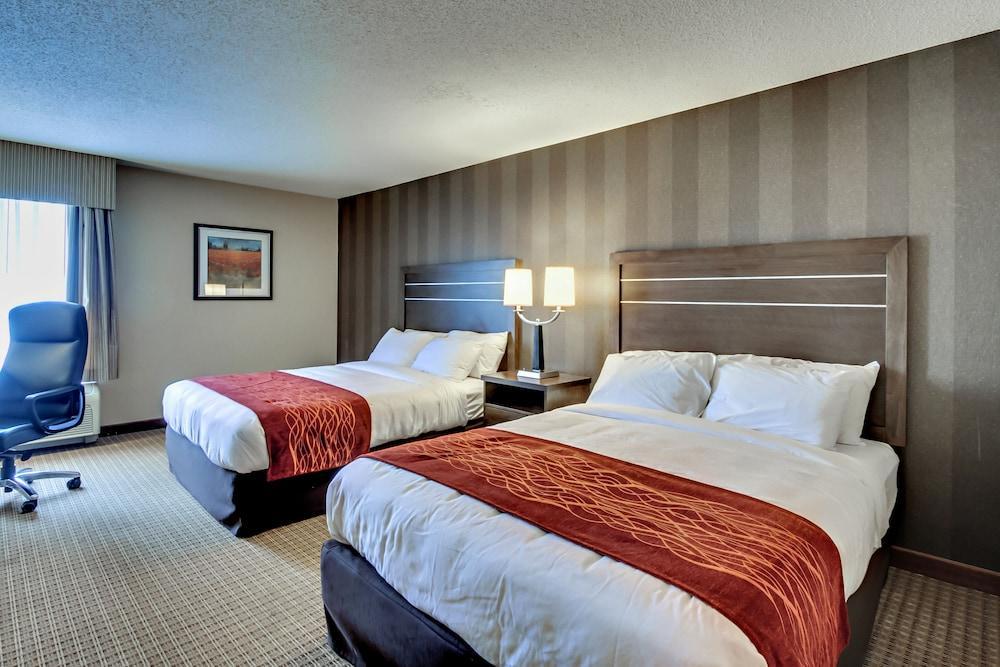 Quality Inn & Suites Bel Air I-95 Exit 77A エクステリア 写真