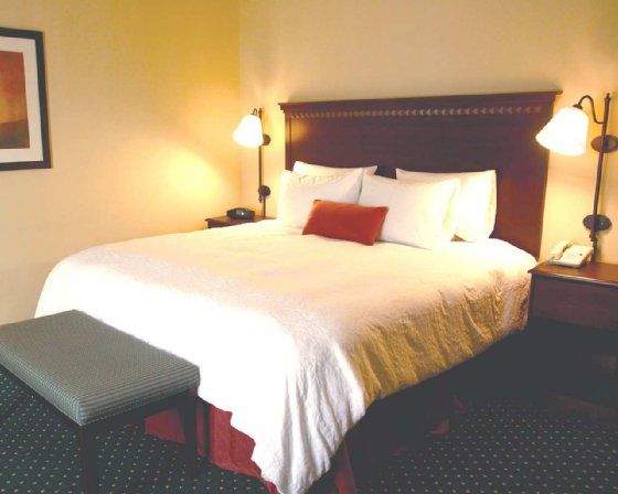 Quality Inn & Suites Bel Air I-95 Exit 77A 部屋 写真